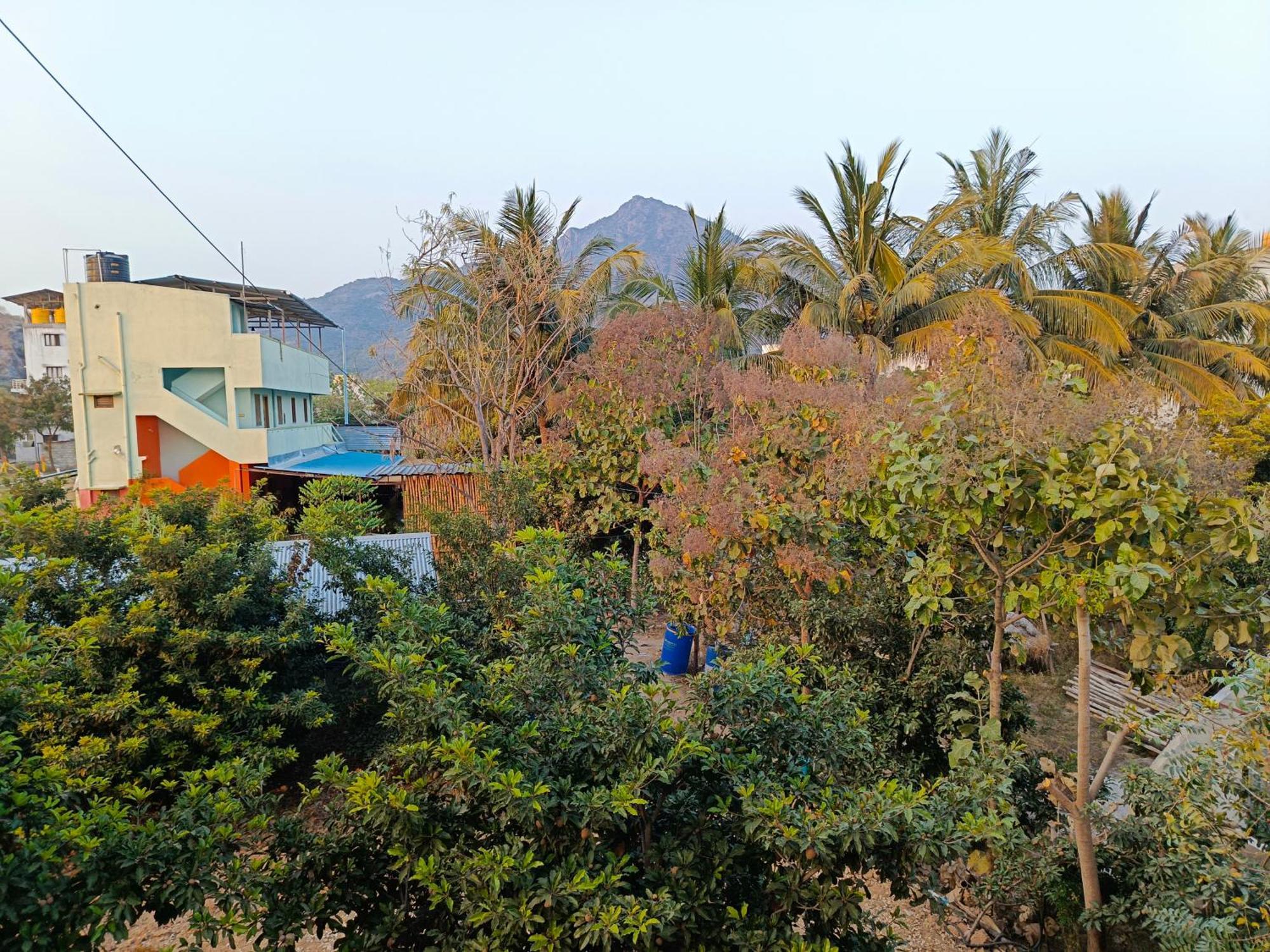 Abaranji Guest House Тируваннамалай Экстерьер фото